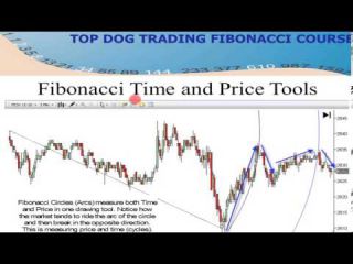 Advanced Fibonacci Trading Strategies by  Barry Burns | Real Traders Webinar